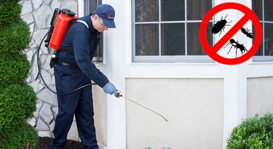 Serik Kene İlaçlama böcek ilaçlama ve haşere kontrolü — ilaclama-tr.com